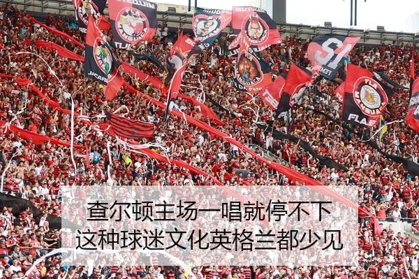 查尔顿主场一唱就停不下 这种球迷文化英格兰都少见