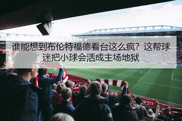 谁能想到布伦特福德看台这么疯？这帮球迷把小球会活成主场地狱