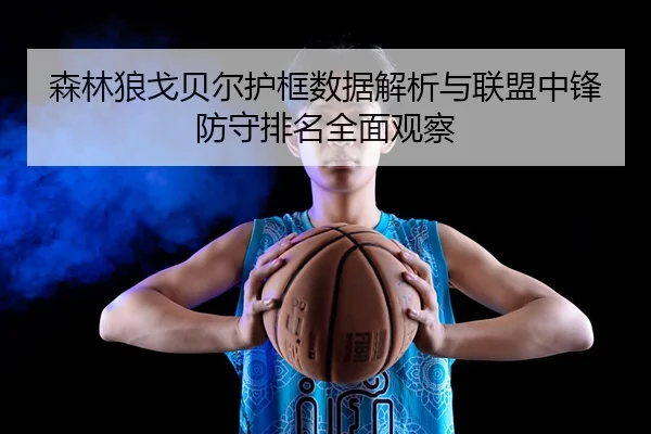 森林狼戈贝尔护框数据解析与联盟中锋防守排名全面观察